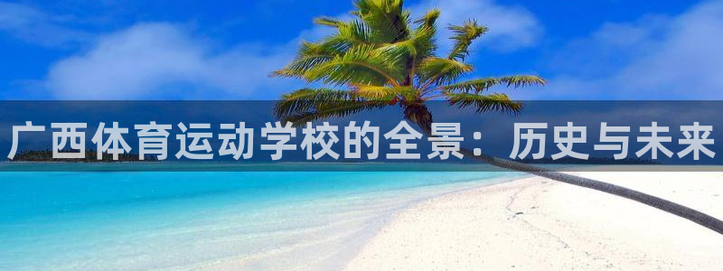 一竞技官网下载:广西体育运动学校的全景:历史与未来